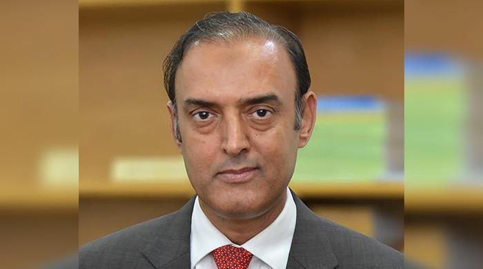 Budgetary measures may up inflation, external sector to remain manageable in FY25: SBP chief