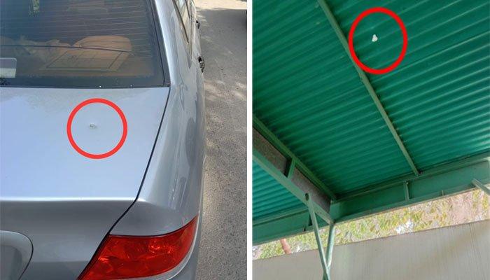 ڈاکٹر سیمی جمالی کی گاڑی اندھی گولی کا نشانہ بن گئی