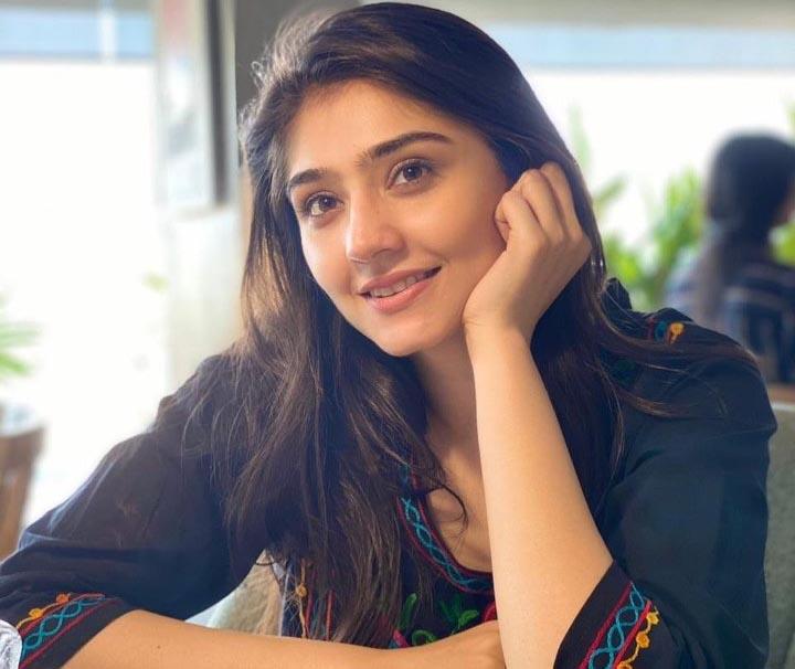 نازش جہانگیر کی درفشاں کے بارے میں بیان سے متعلق وضاحت