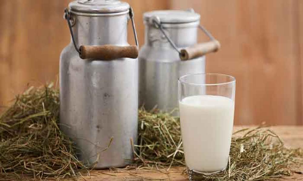 Poisonous milk kills six family members in Khairpur