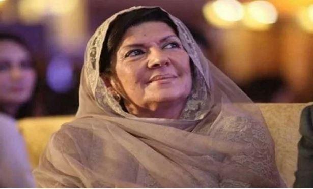 Aleema Khan accuses PTI leadership of lacking resolve to free Imran Khan