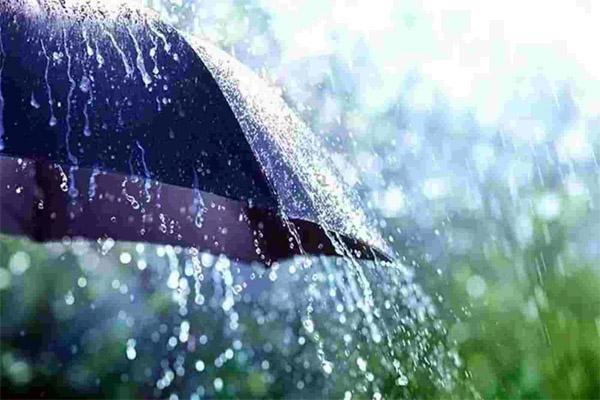 پنجاب اور سندھ میں موسلادھار بارشوں کی پیشگوئی