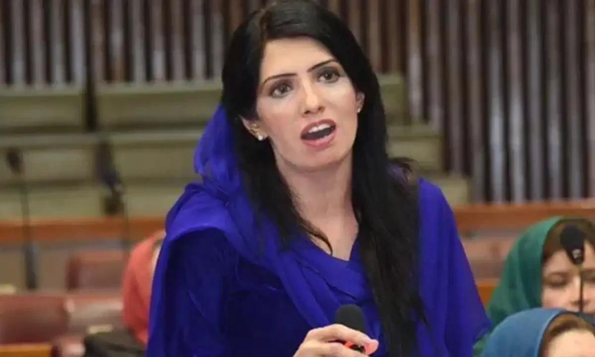عالیہ حمزہ کی سائبر دہشت گردی کے مقدمے میں 10 روز ہ حفاظتی ضمانت منظور