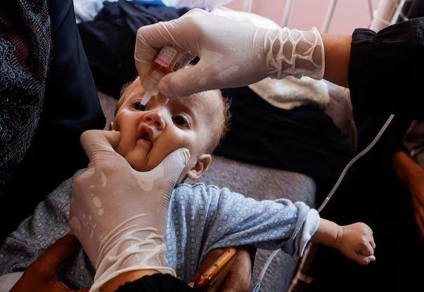 Israeli strikes kill dozens in Gaza, health officials prepare polio campaign