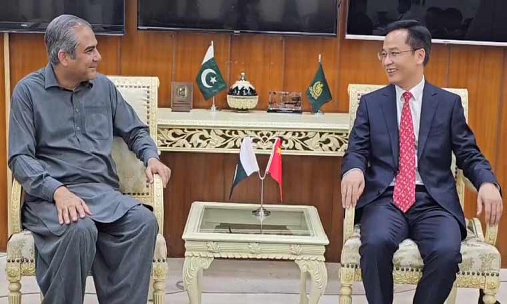 Naqvi, Chinese Minister of Political, Legal Affairs discuss bilateral issues