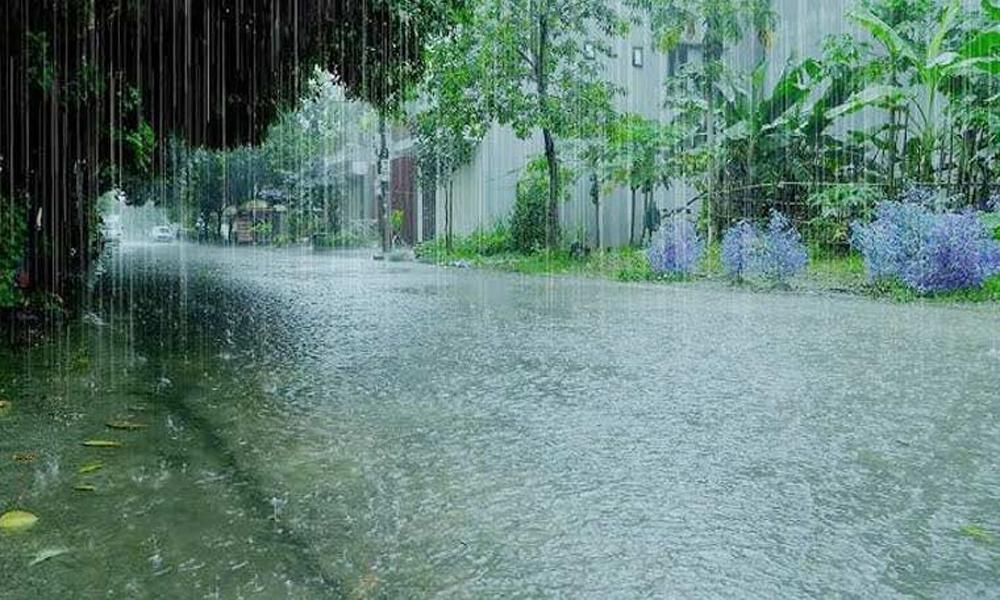 Rain predicted in most cities from today