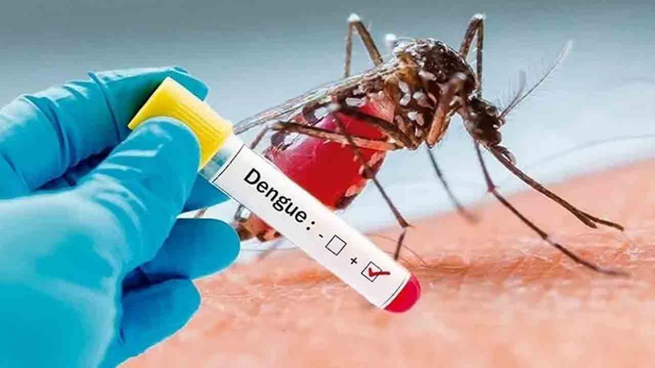 پنجاب میں ڈینگی  بے قابو ، گزشتہ چوبیس گھنٹوں کے دوران 110 کیسز رپورٹ