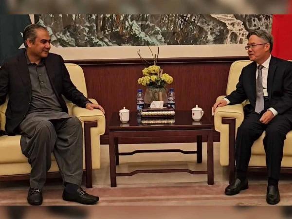 چینی شہریوں اور منصوبوں کی حفاظت اولین ترجیح ہے، محسن نقوی