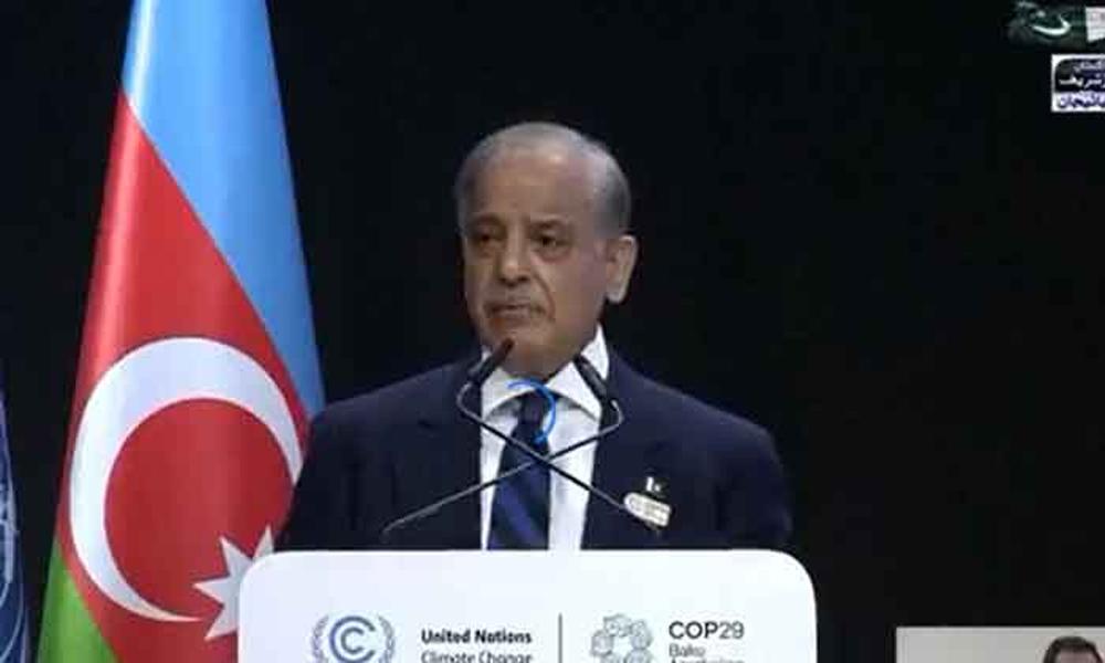 No measures for climate change will lead to great losses: PM