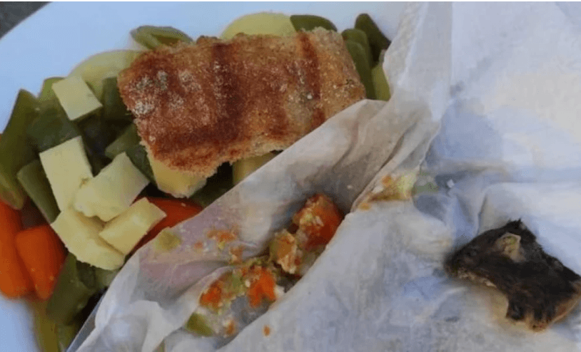 ہسپانوی شہری غلطی سے مردہ  چوہا چبا گیا 