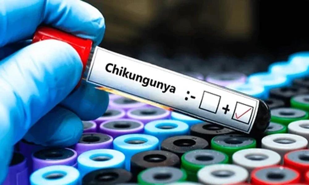 Six cases of chikungunya reported in Peshawar