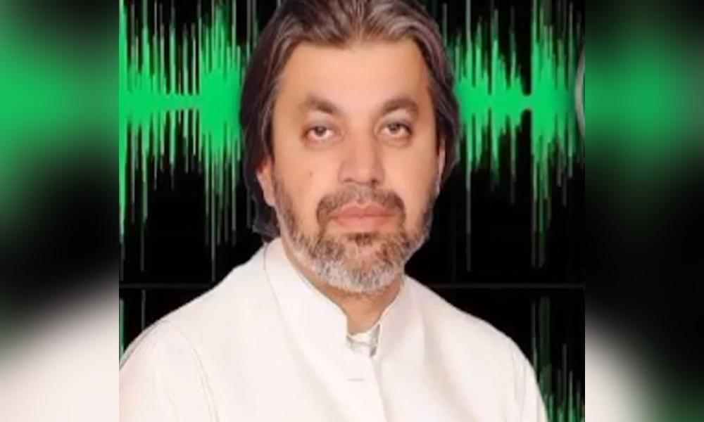 PTI protest: Ali Muhammad Khan's alleged audio leaked