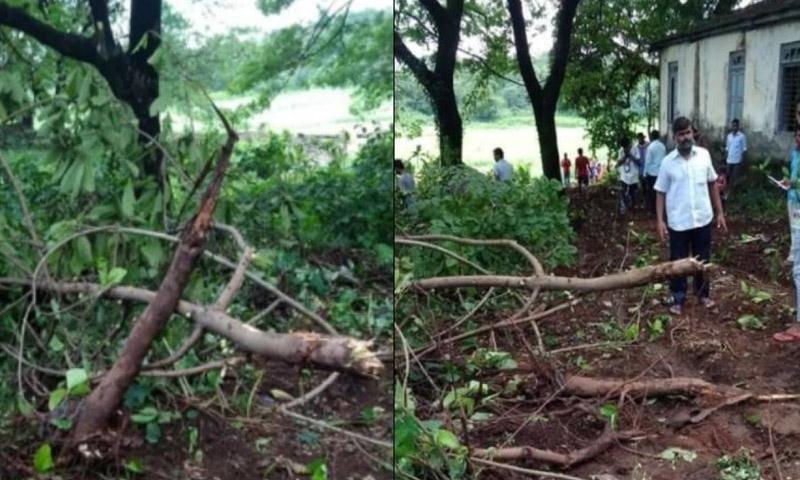 درخت کاٹنے پر شہری کو زندہ جلا دیا گیا