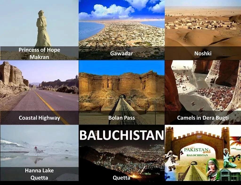 پاکستان میں  14 سے 20 دسمبر 2024 کے دوران ہونے والی سرگرمیوں کی تفصیلات سامنے آ گئیں