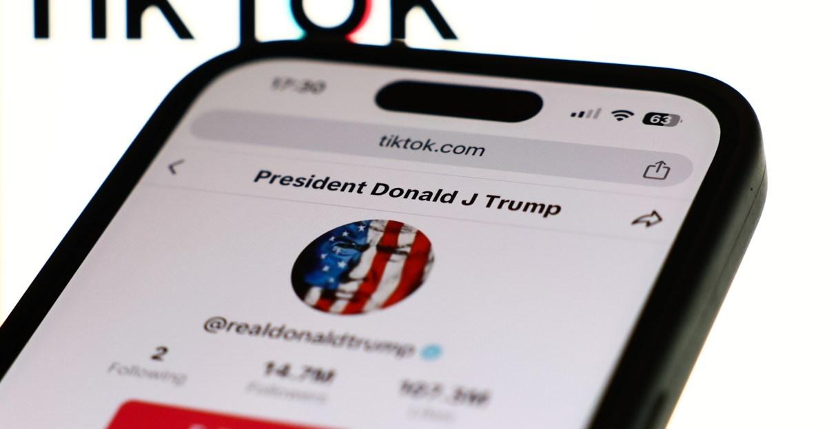 TikTok is headed for a ban — but can Trump still save it?