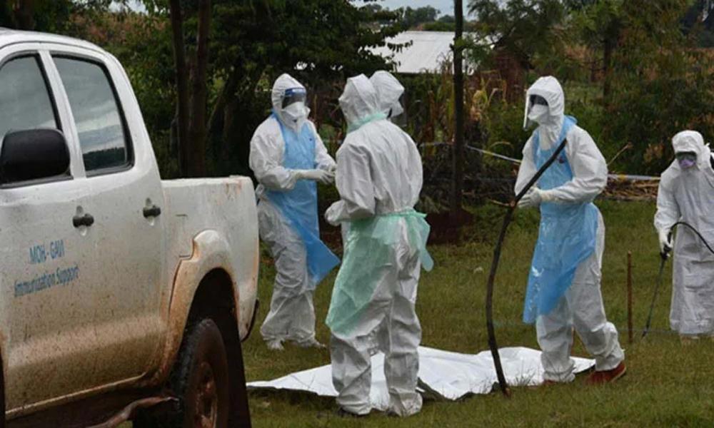 Eight died from suspected Marburg virus in Tanzania