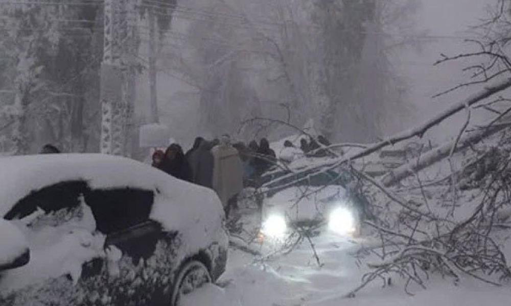 Preliminary report of Murree tragedy submitted to Punjab government 