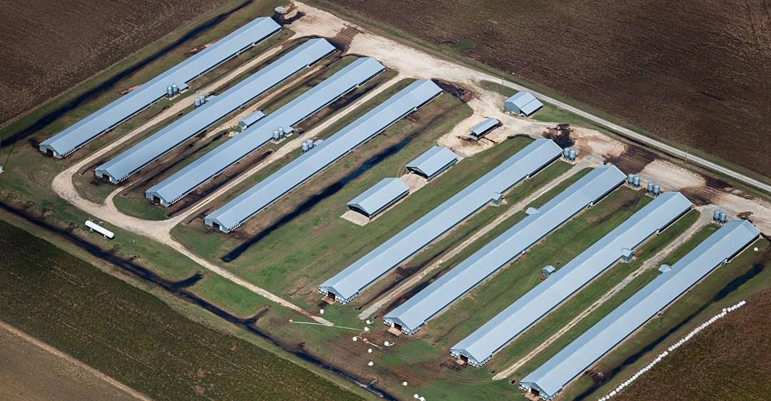 We can see factory farm pollution all the way from space