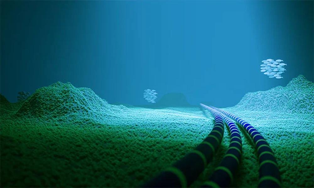 Meta to lay world's longest submarine cable