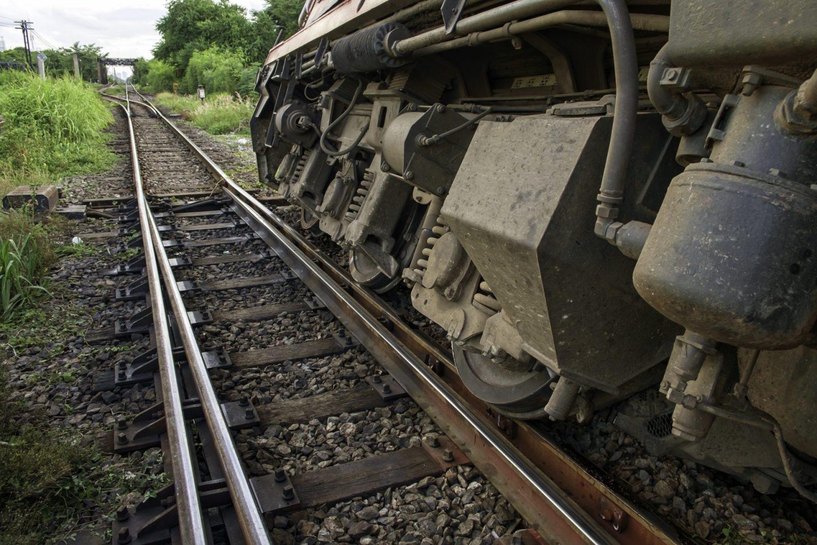 Sri Lankan train derails after colliding with elephant herd, six animals killed