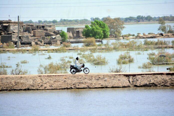 Rains in KP claim four lives, damage homes and crops