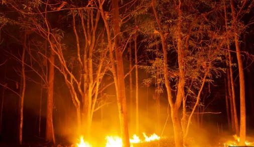 State of emergency declared as wildfires rage across Carolinas