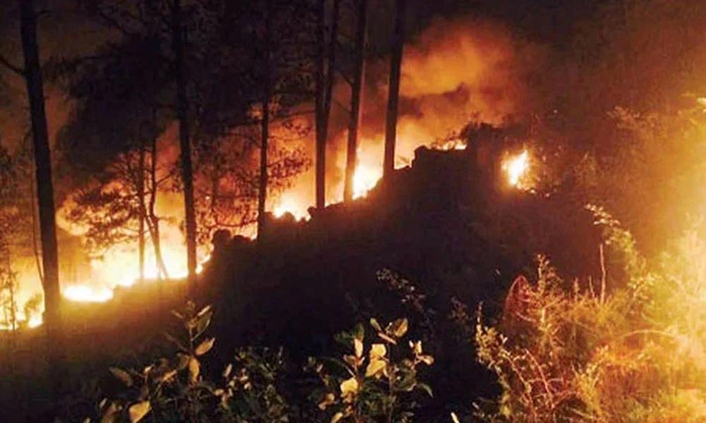 Balochistan: Fire breaks out in Kohlu forests, engulfs vast area