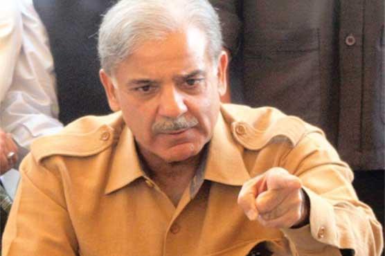 عوام پی ٹی آئی کو ان کی زندگیاں مشکل بنانے پر معاف نہیں کرے گی : شہباز شریف