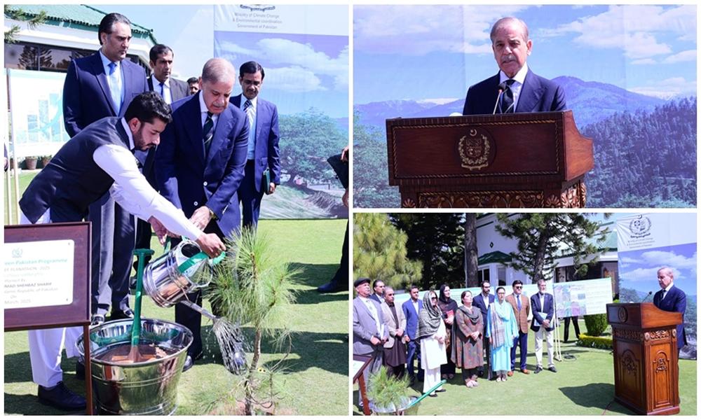 Tree plantation campaign: PM sets target of planting 40mn saplings