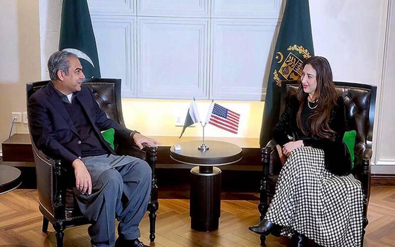 محسن نقوی سے امریکہ کی قائم مقام سفیر نیٹلی بیکر کی ملاقات،موجودہ صورتحال پر تبادلہ خیال