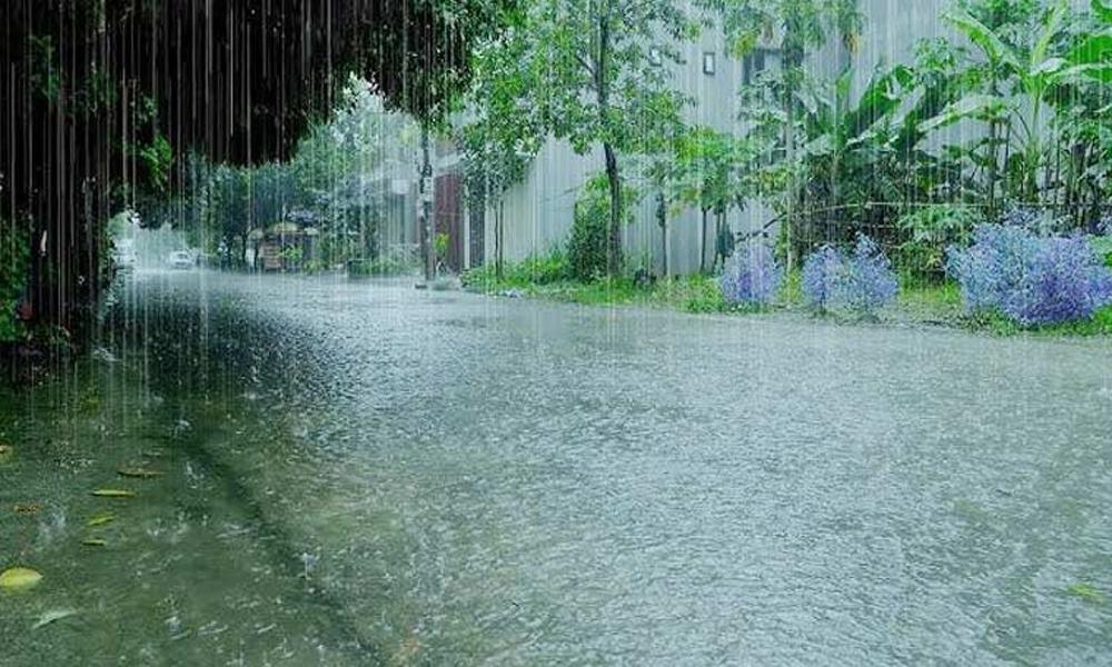 Rain, winds in Lahore, weather turns pleasant