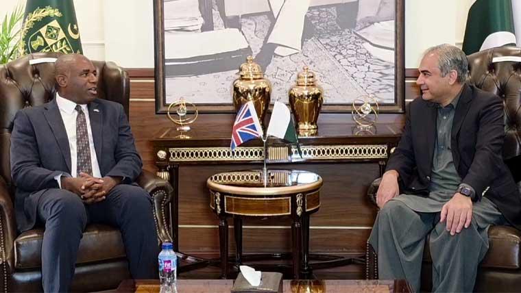  محسن نقوی کی برطانوی وزیر خارجہ سے ملاقات،دوطرفہ تعلقات، سیکیورٹی تعاون تبادلہ خیال 