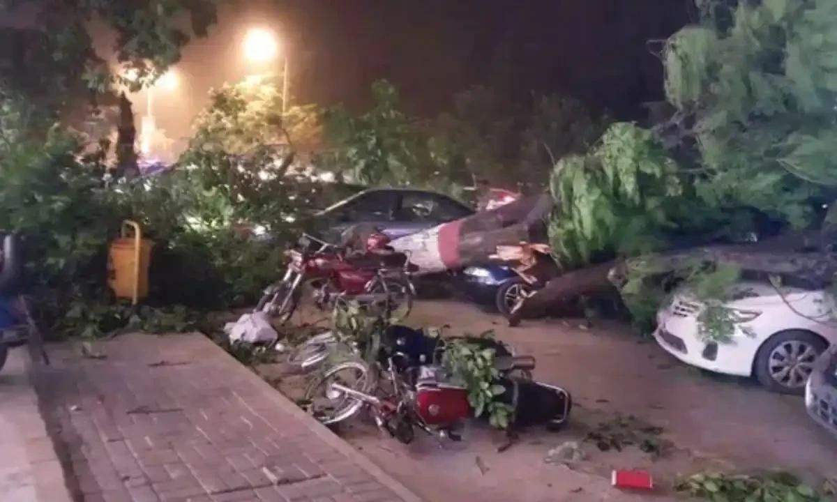 پشاور : شدید آندھی و طوفان سے درخت اور سائن بورڈز گرگئے، متعدد افراد زخمی
