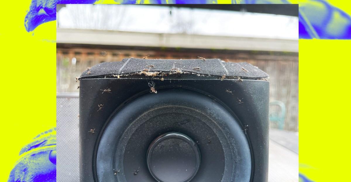 A buggy Sonos mystery