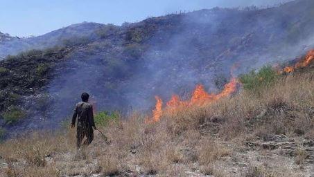 Massive wildfire breaks out in Lower Dir