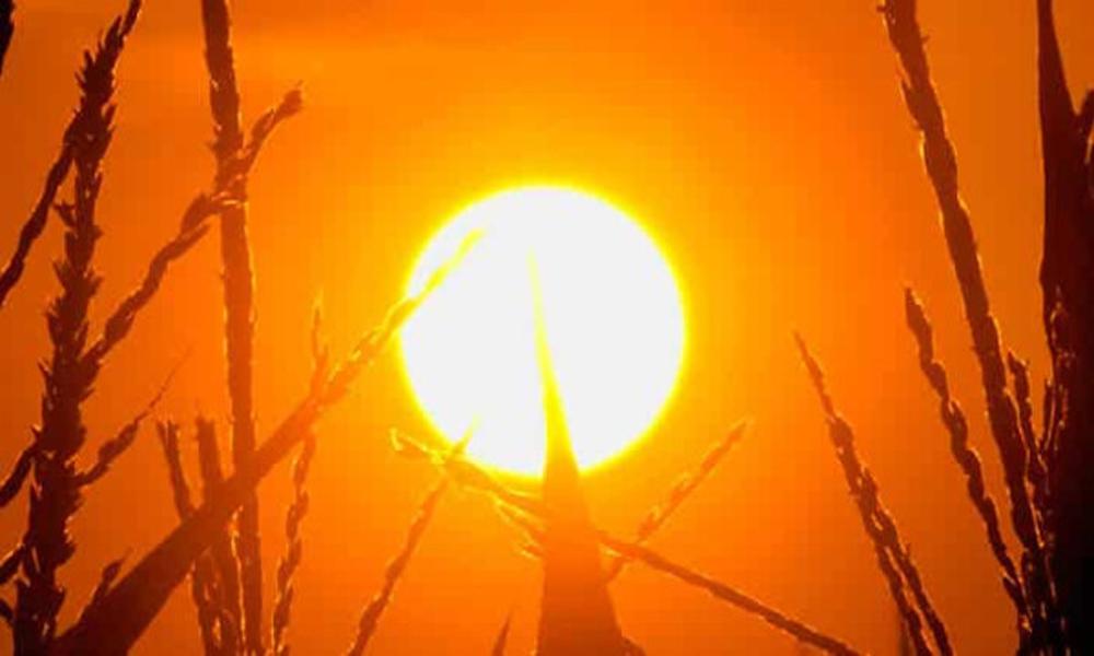 Temperature likely to rise to 48 degrees, warning alert