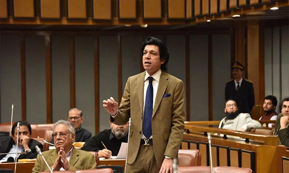 Vawda proposes to increase defense budget threefold, double salaries of all forces