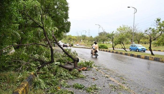 Storms sweep Punjab, KP: 6 dead, roads blocked, power disrupted