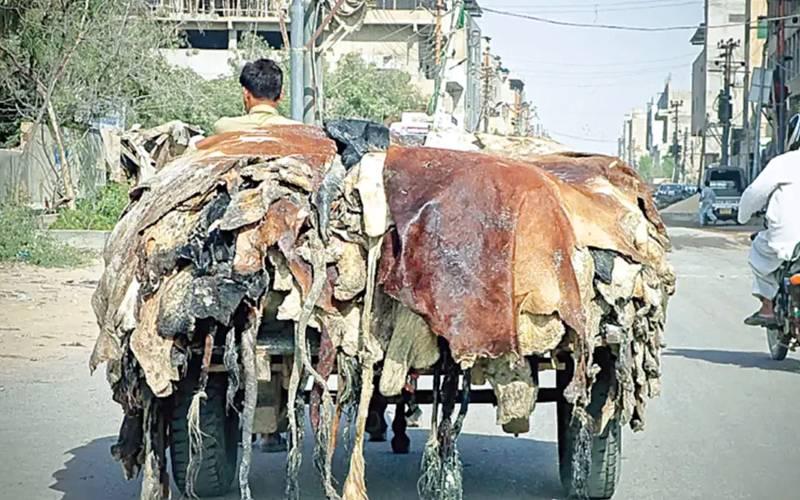 قربانی کی کھالیں کالعدم تنظیموں کو دینے سے اجتناب کریں، محکمہ داخلہ پنجاب