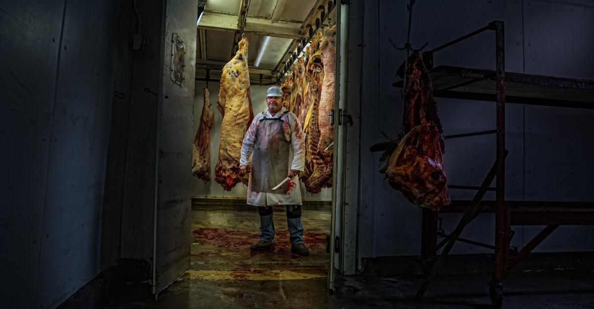 What slaughtering animals all day does to your mind