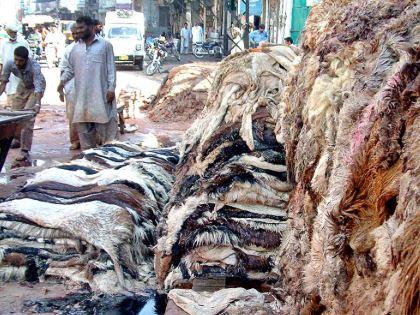 Over 7m animal hides expected nationwide this Eid