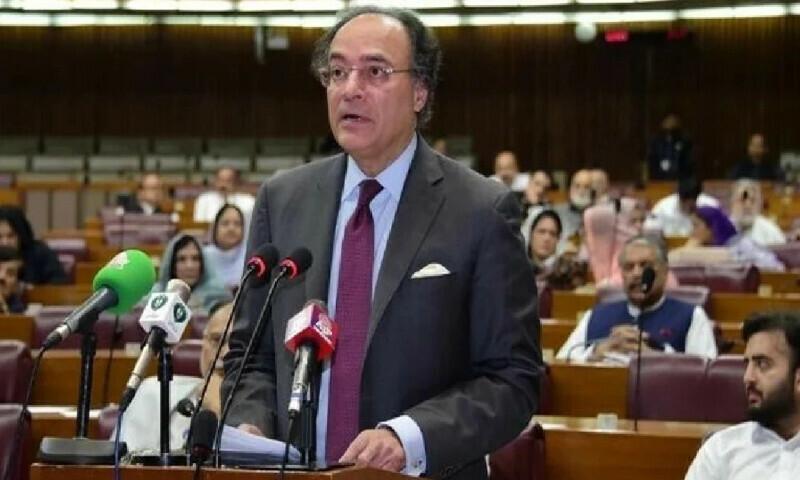 وزیر خزانہ نئے مالی سال کا بجٹ پیش کر رہے ہیں