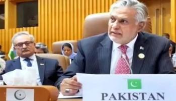 اسلامی تعاون تنظیم  اجلاس میں شرکت کےلیے اسحٰق ڈار استنبول پہنچ گئے