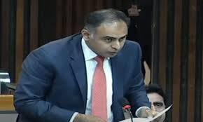 ٹیکس فراڈ کے مخصوص کیسز پر ہی گرفتاری کی جائے گی  : وزیر مملکت خزانہ 