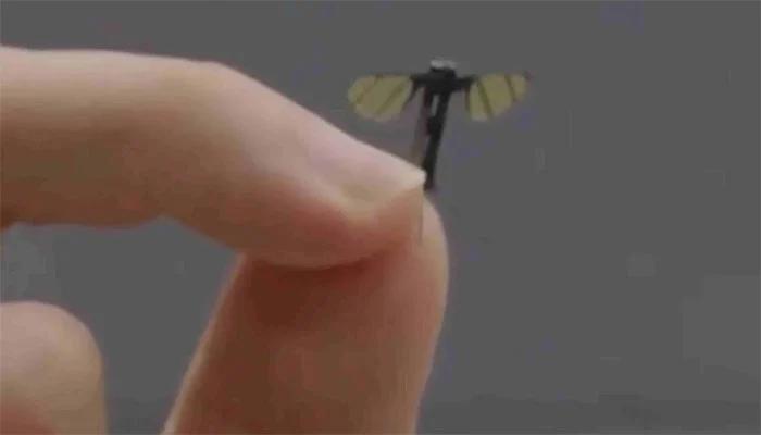 چینی سائنسدانوں کا بڑا کارنامہ،مچھر کے سائز جتنا ڈروں تیار کر لیا