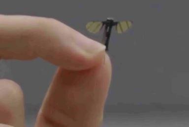 China develops mosquito-sized drone for military use
