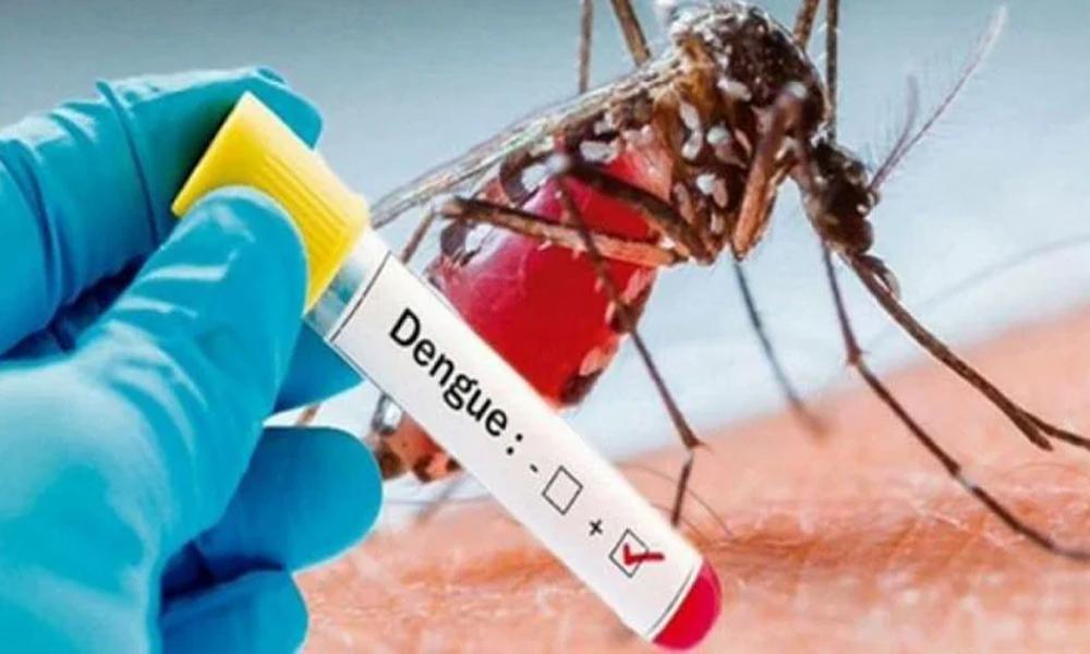 First dengue death reported in Sindh this year