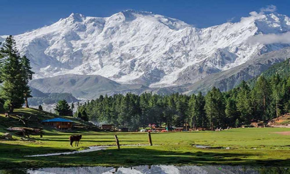 PM directs to make Pakistan global tourism brand