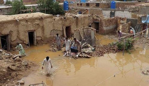 Torrential rains claim 43 lives across Punjab and KP: NDMA