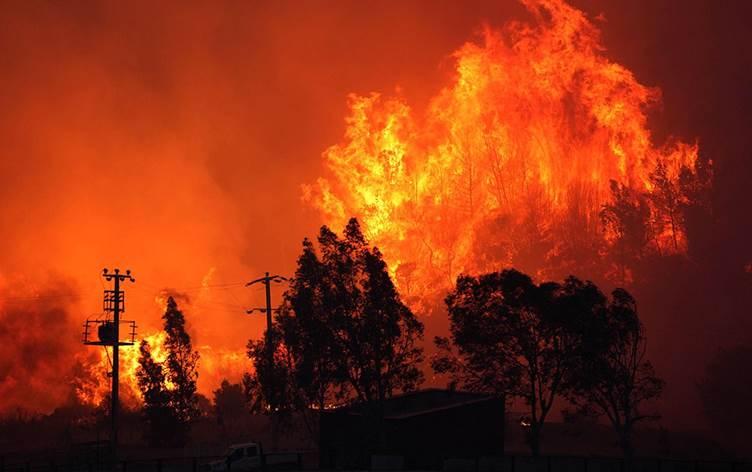 Over 50,000 evacuated as wildfires devastate Turkey’s Izmir